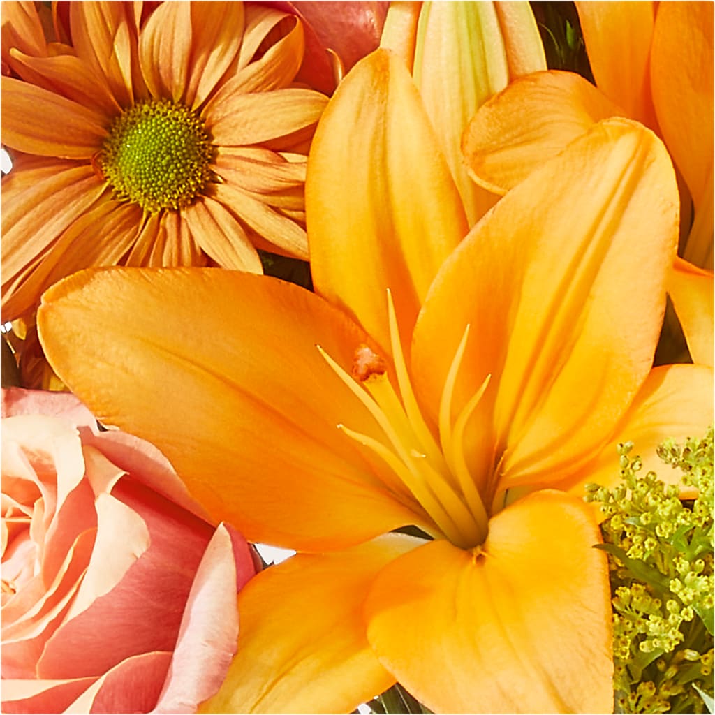 Harvest Hayride Bouquet –  Oopsie Daisy Llc, Berlin NJ