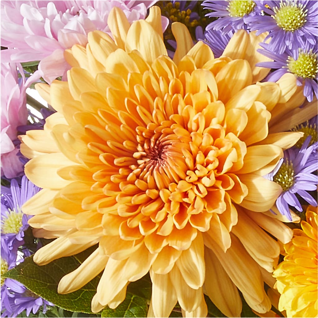 Countryside Bouquet –  Oopsie Daisy Llc, Berlin NJ