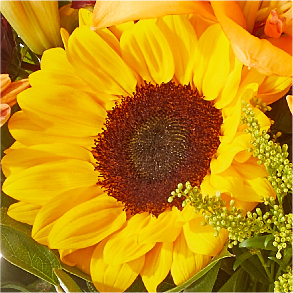 Seasons Change Bouquet –  Oopsie Daisy Llc, Berlin NJ