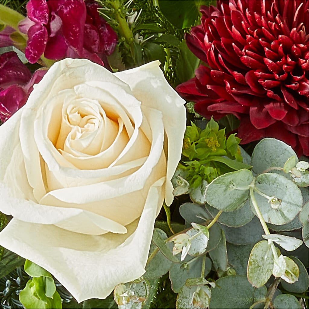 Cranberry Fizz Bouquet –  Oopsie Daisy Llc, Berlin NJ