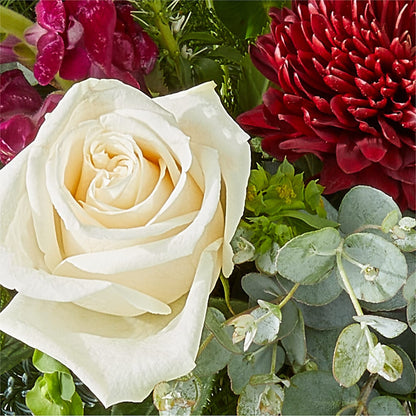 Cranberry Fizz Bouquet –  Oopsie Daisy Llc, Berlin NJ