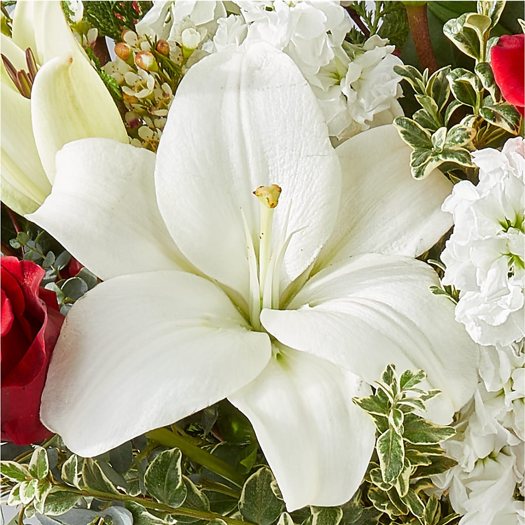 Twinkle Lights Bouquet –  Oopsie Daisy Llc, Berlin NJ