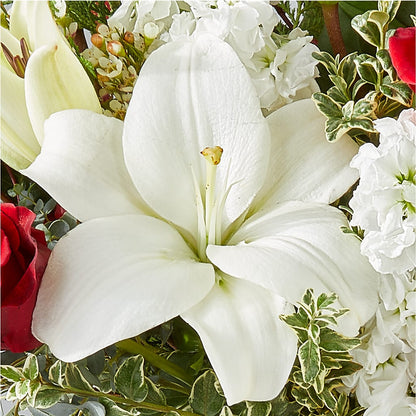Twinkle Lights Bouquet –  Oopsie Daisy Llc, Berlin NJ