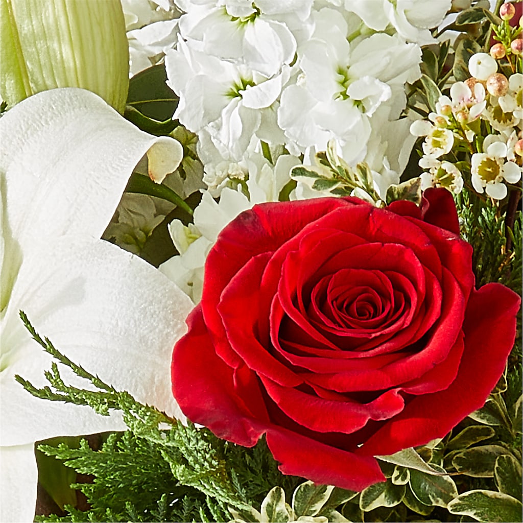 Twinkle Lights Bouquet –  Oopsie Daisy Llc, Berlin NJ
