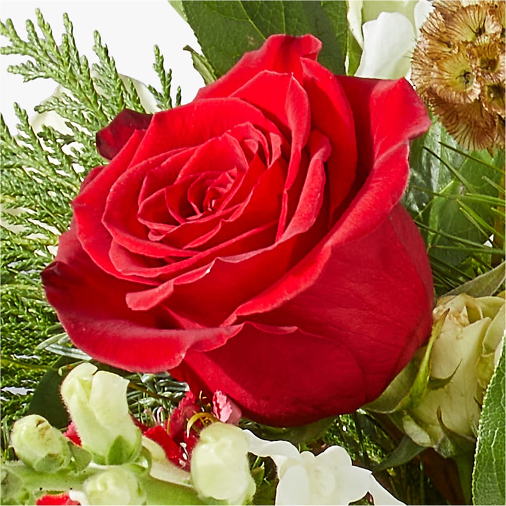Deck the Halls Bouquet –  Oopsie Daisy Llc, Berlin NJ