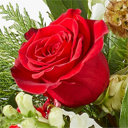 Deck the Halls Bouquet –  Oopsie Daisy Llc, Berlin NJ
