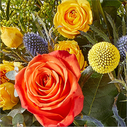 Disco Bouquet –  Oopsie Daisy Llc, Berlin NJ