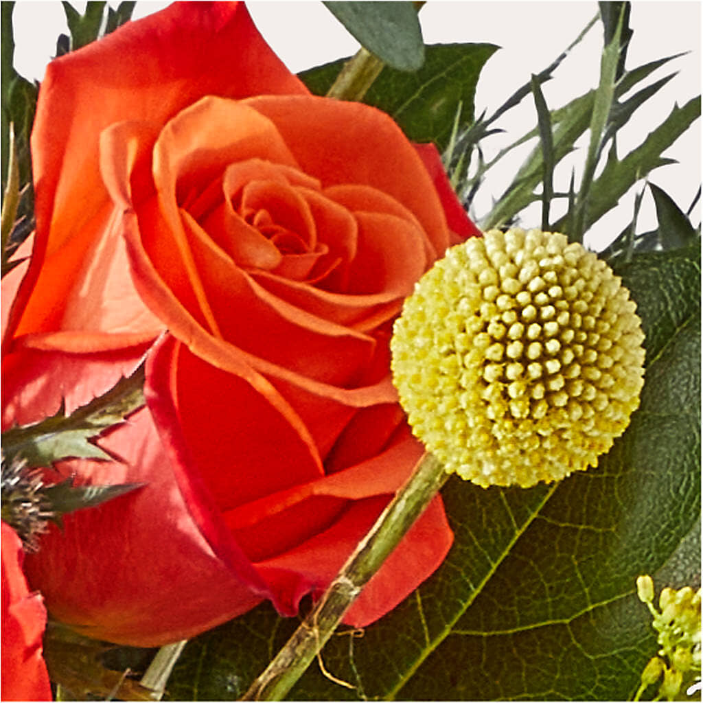 Disco Bouquet –  Oopsie Daisy Llc, Berlin NJ