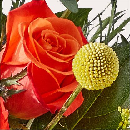 Disco Bouquet –  Oopsie Daisy Llc, Berlin NJ
