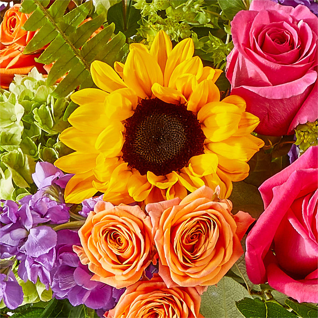 Vibrant Greetings Bouquet –  Oopsie Daisy Llc, Berlin NJ