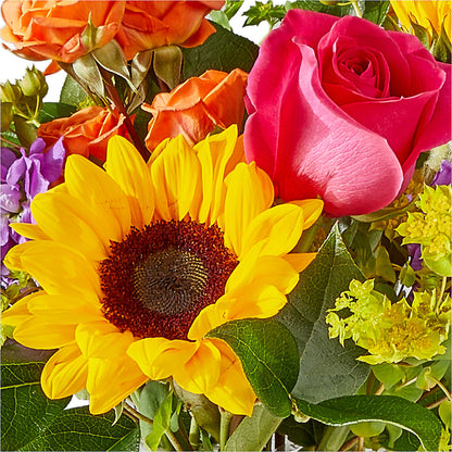 Vibrant Greetings Bouquet –  Oopsie Daisy Llc, Berlin NJ