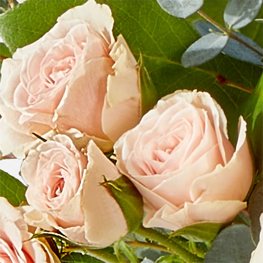 Inspired Bouquet –  Oopsie Daisy Llc, Berlin NJ