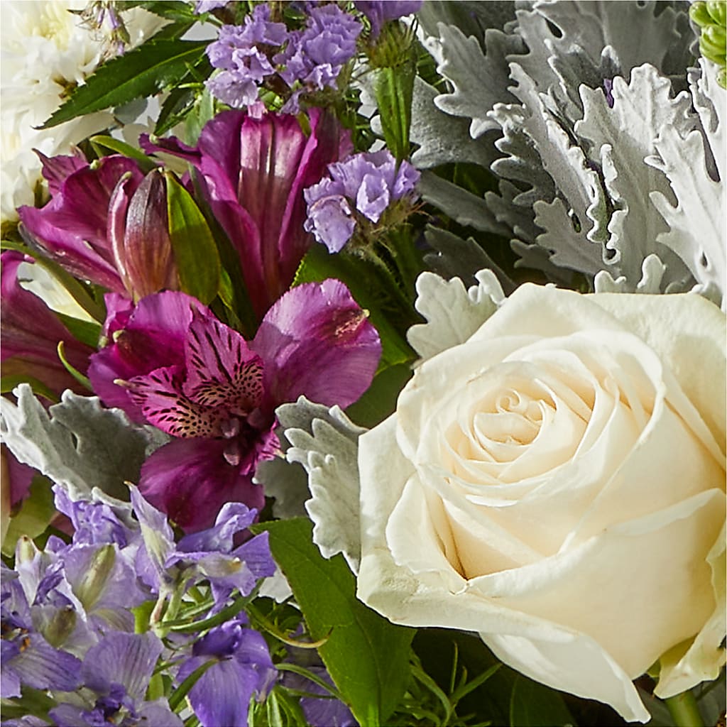 Shooting Star Bouquet –  Oopsie Daisy Llc, Berlin NJ
