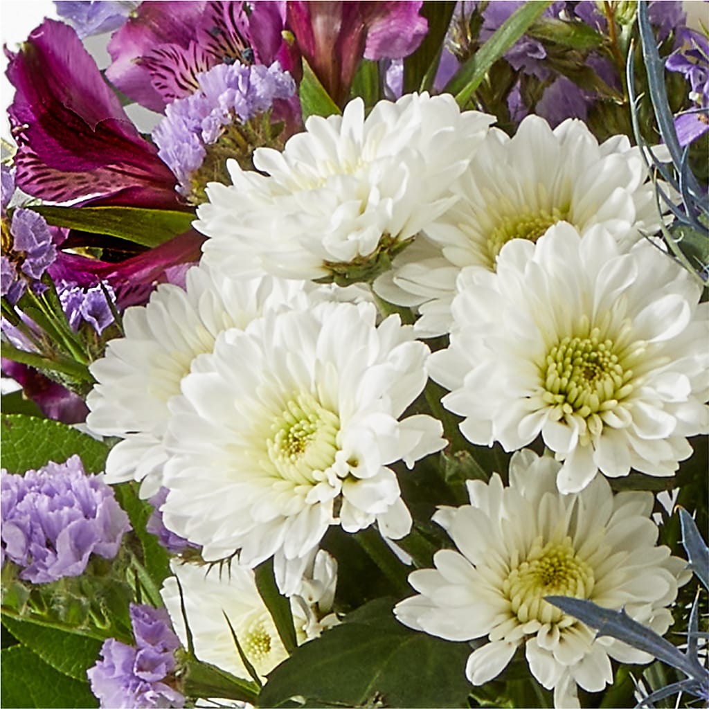 Shooting Star Bouquet –  Oopsie Daisy Llc, Berlin NJ