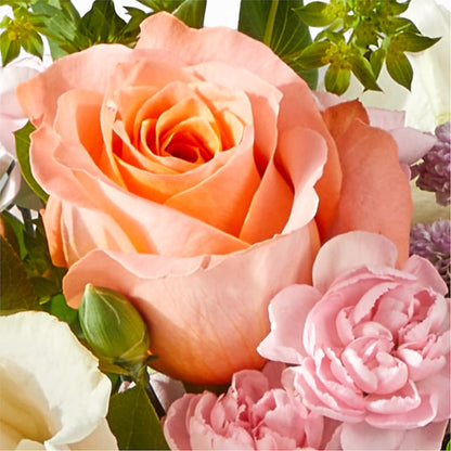 French Market Bouquet –  Oopsie Daisy Llc, Berlin NJ