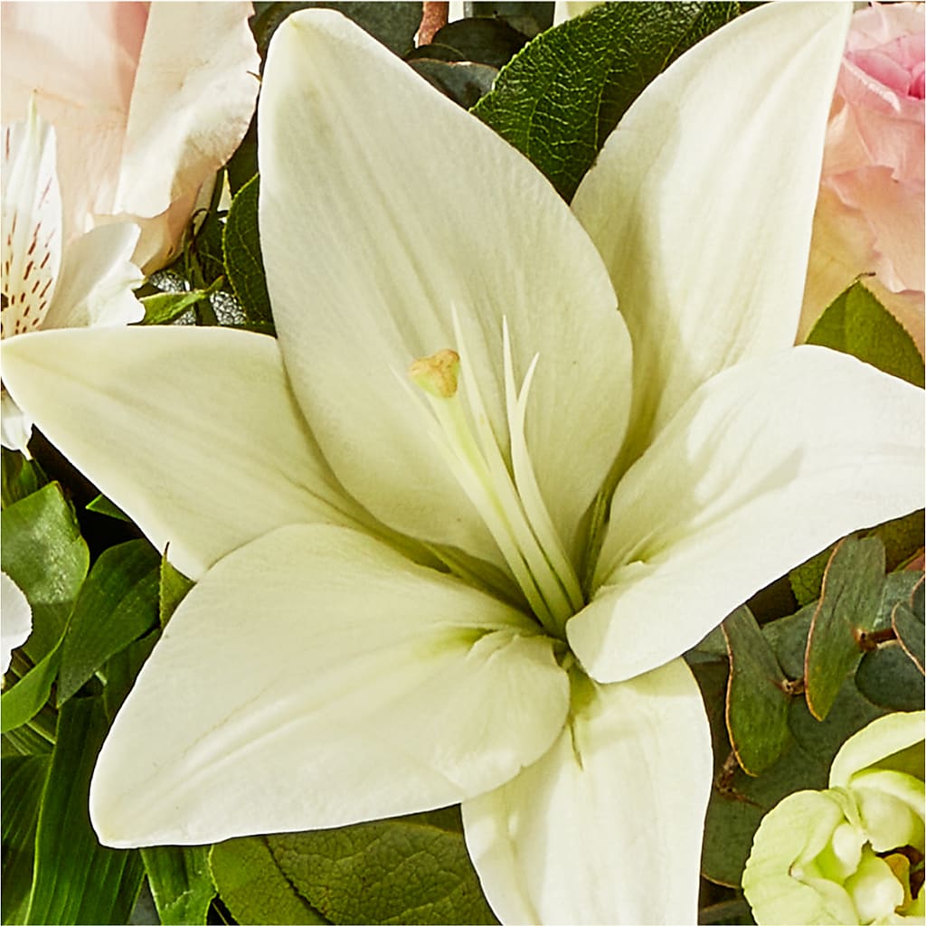 Ballet Slippers Bouquet –  Oopsie Daisy Llc, Berlin NJ