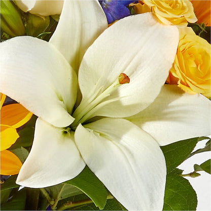 Wonderfully Sunny Bouquet –  Oopsie Daisy Llc, Berlin NJ