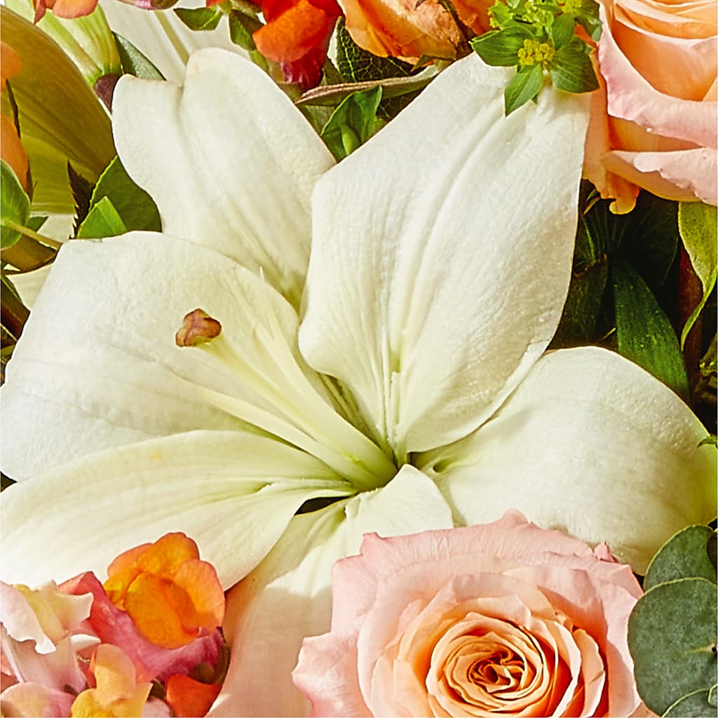 Grapefruit Splash Bouquet –  Oopsie Daisy Llc, Berlin NJ