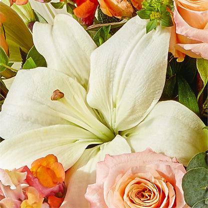 Grapefruit Splash Bouquet –  Oopsie Daisy Llc, Berlin NJ