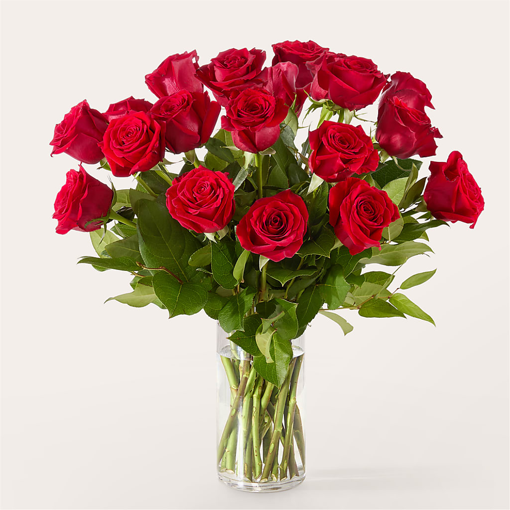 The One Red Rose Bouquet –  Oopsie Daisy Llc, Berlin NJ