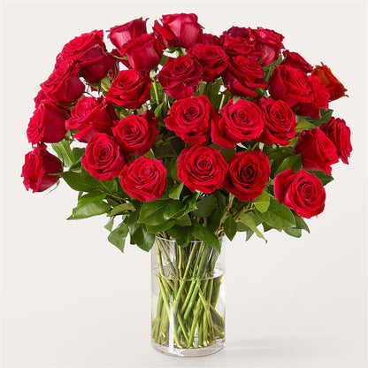 The One Red Rose Bouquet –  Oopsie Daisy Llc, Berlin NJ