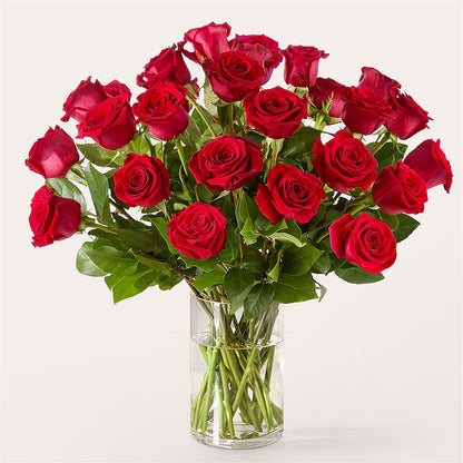 The One Red Rose Bouquet –  Oopsie Daisy Llc, Berlin NJ