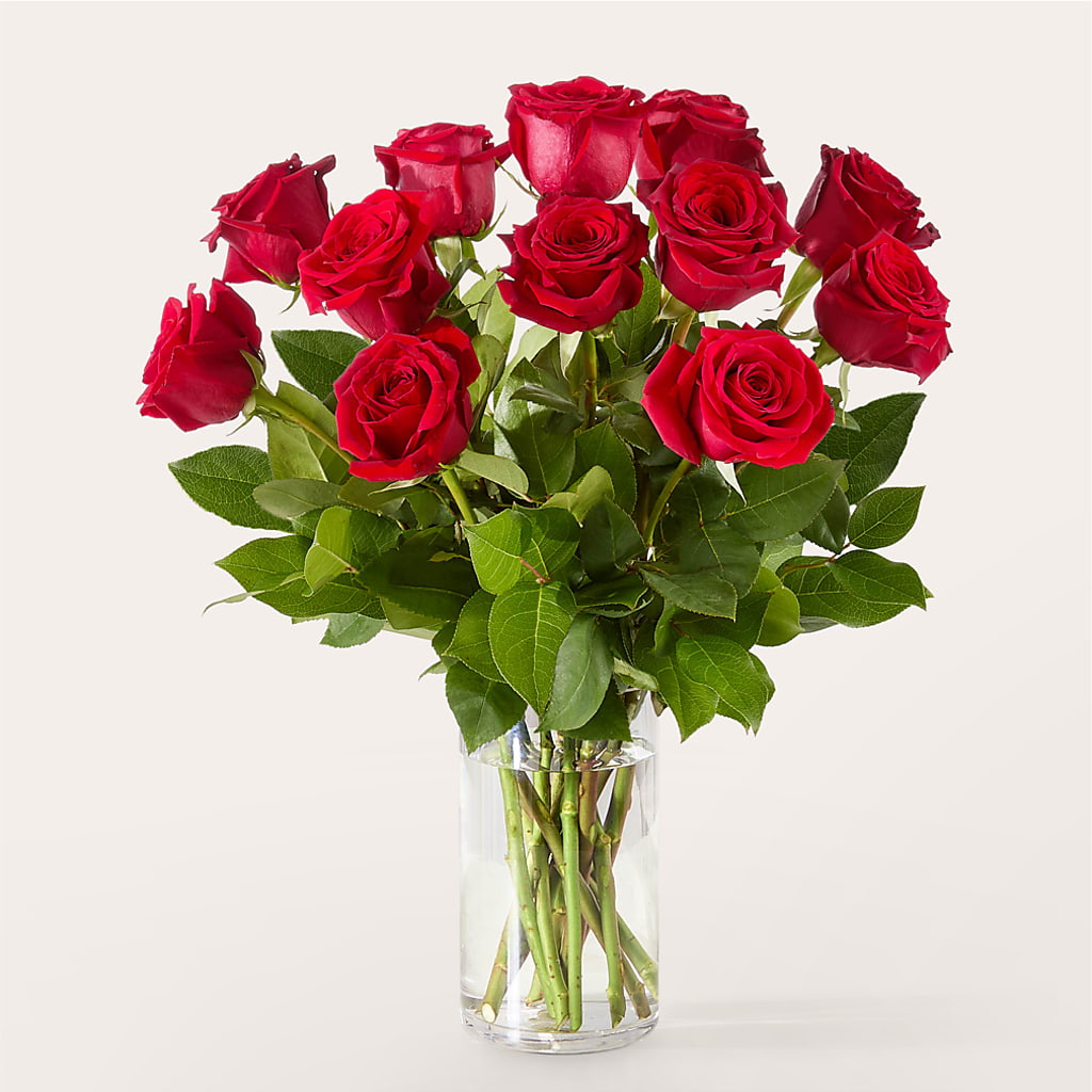 The One Red Rose Bouquet –  Oopsie Daisy Llc, Berlin NJ