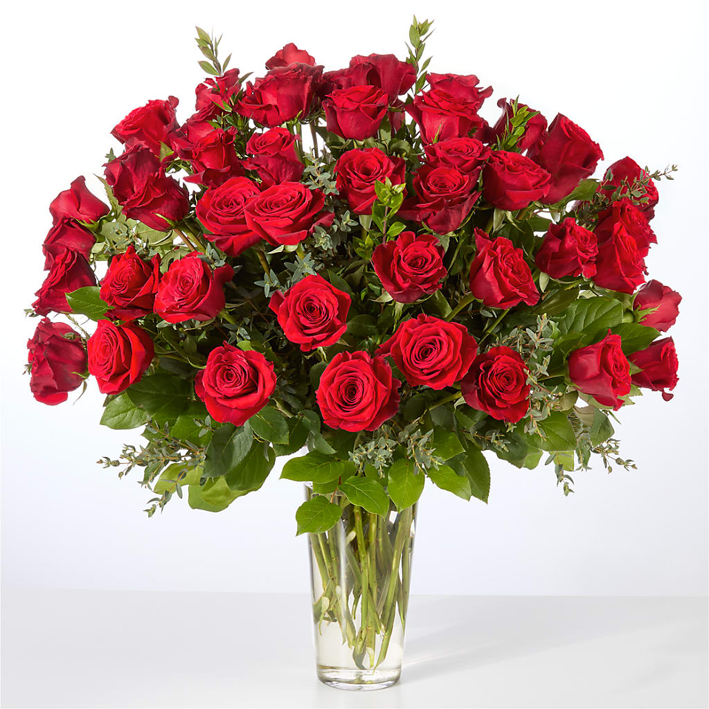 Forever Yours Fifty Stem Red Rose Bouquet –  Oopsie Daisy Llc, Berlin NJ