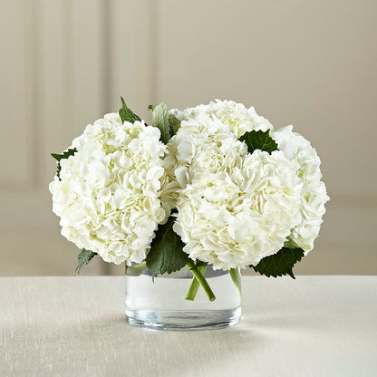 White Hydrangea Bouquet –  Oopsie Daisy Llc, Berlin NJ
